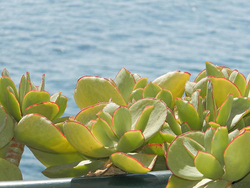 Aparthotel Apollon 2*